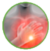 심장